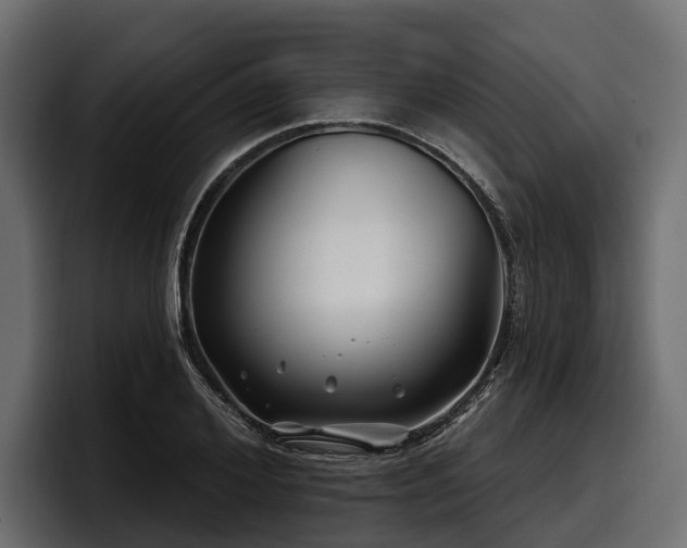 X0000097950980200803241150