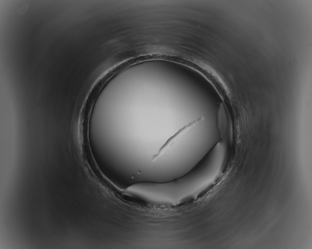 X0000097950983200803241150