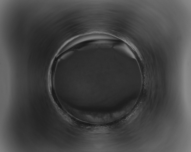 X0000097950984200803241150