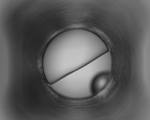 X0000097950985200803241150