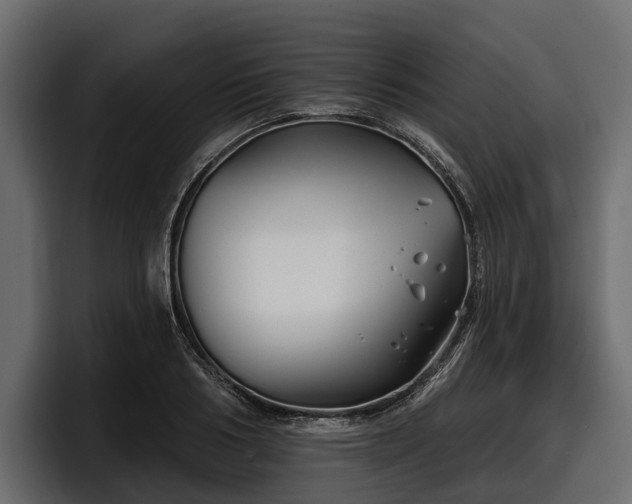 X0000097950986200803241150
