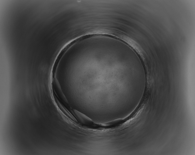 X0000097950988200803241150