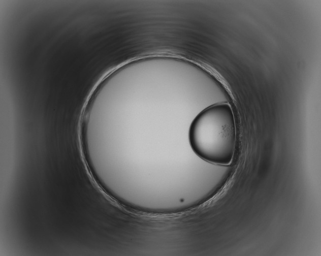 X0000097950989200803241150
