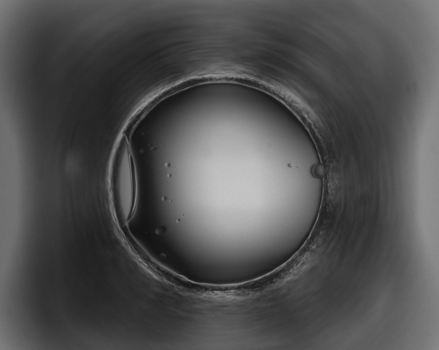 X0000097950990200803241150