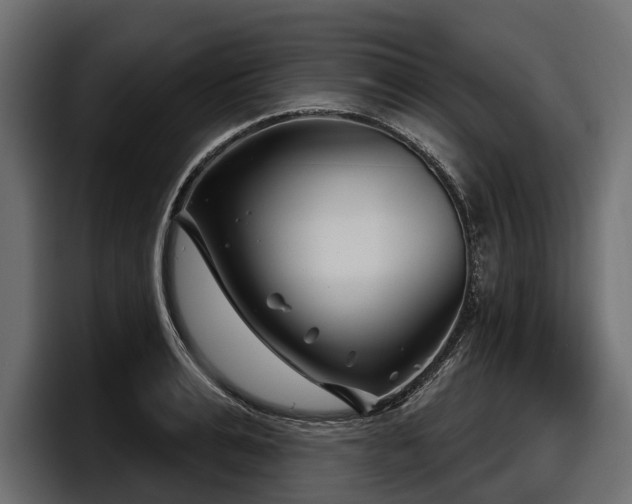 X0000097950991200803241150