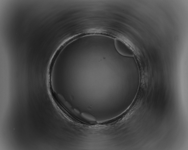 X0000097950992200803241150