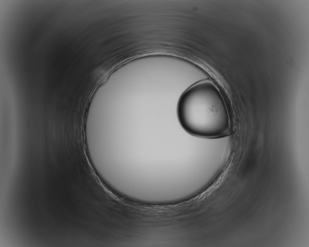 X0000097950993200803241150