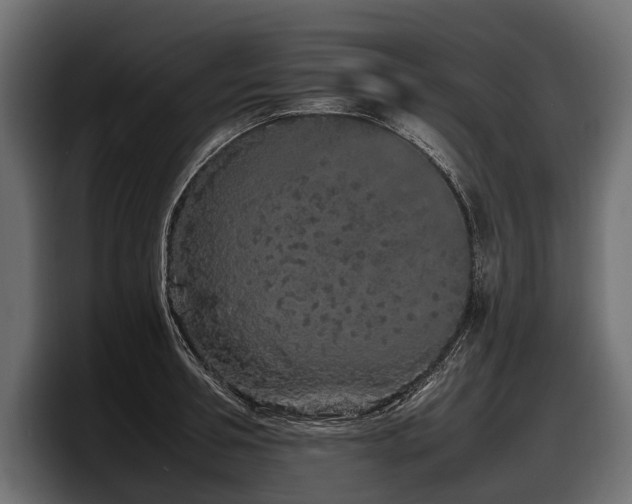 X0000097950994200803241150