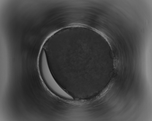 X0000097950995200803241150