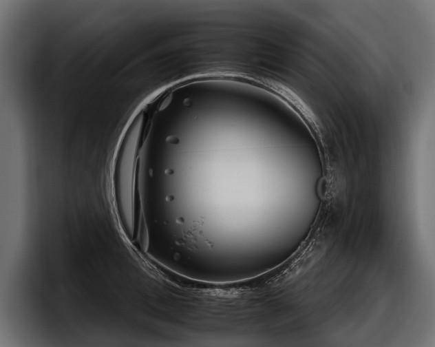 X0000097950996200803241150