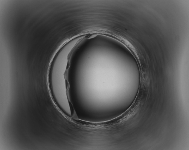 X0000097950997200803241150