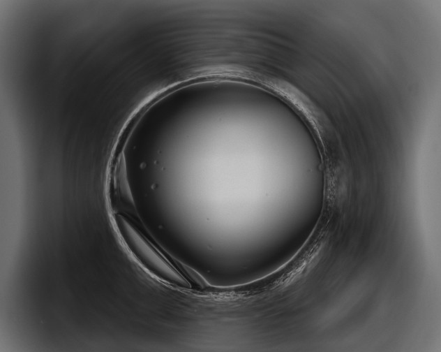 X0000097950999200803241150