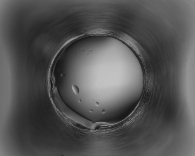 X0000097951000200803241150