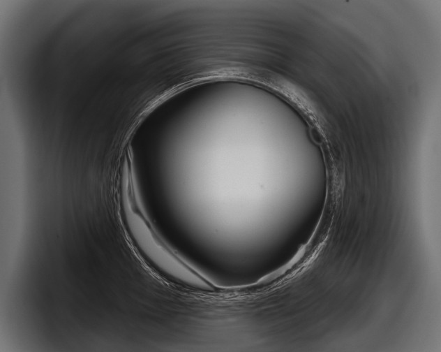 X0000097951001200803241150