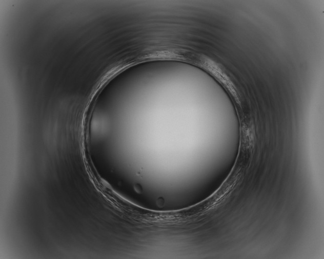X0000097951002200803241150