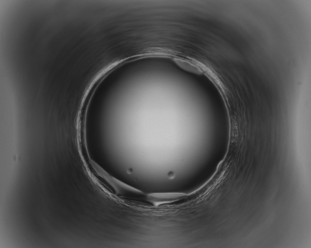 X0000097951003200803241150
