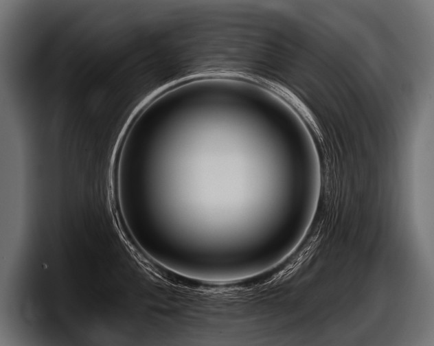 X0000097951004200803241150
