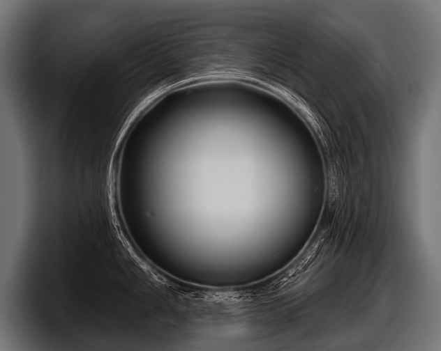 X0000097951006200803241150