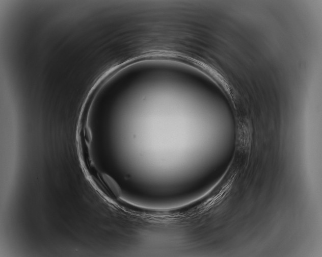 X0000097951007200803241150