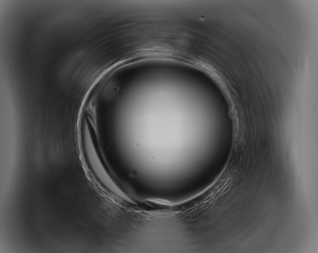 X0000097951008200803241150