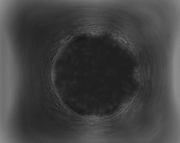 X0000097951009200803241149