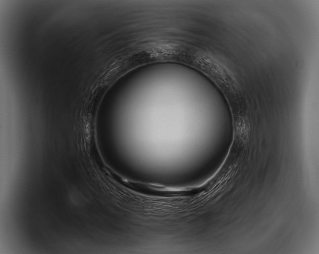 X0000097951012200803241149