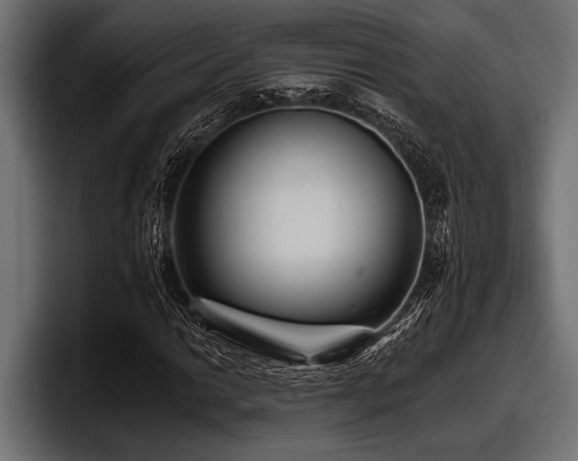 X0000097951014200803241149