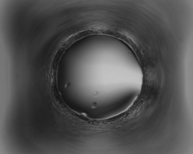 X0000097951016200803241149