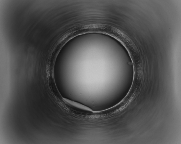 X0000097951017200803241149