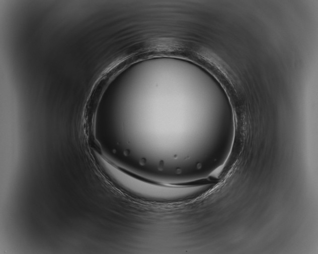 X0000097951018200803241149