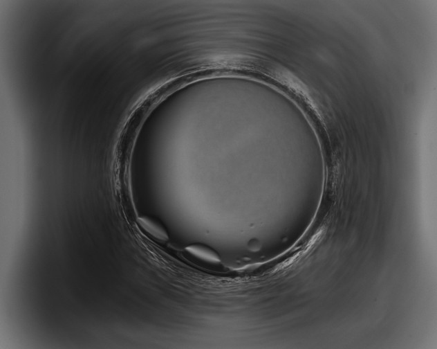 X0000097951019200803241149