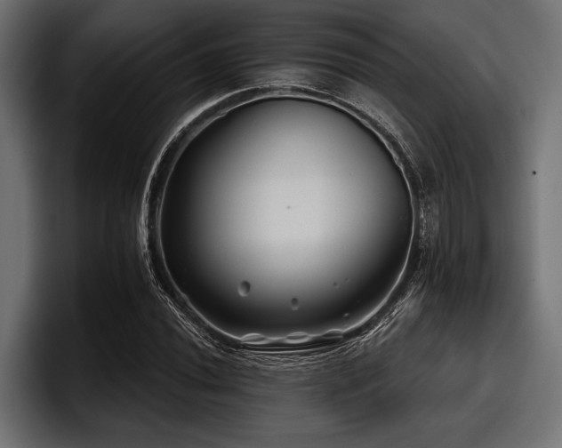 X0000097951020200803241149