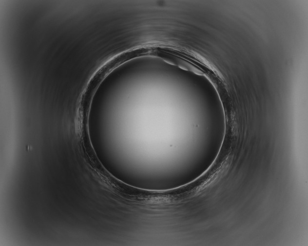X0000097951021200803241149