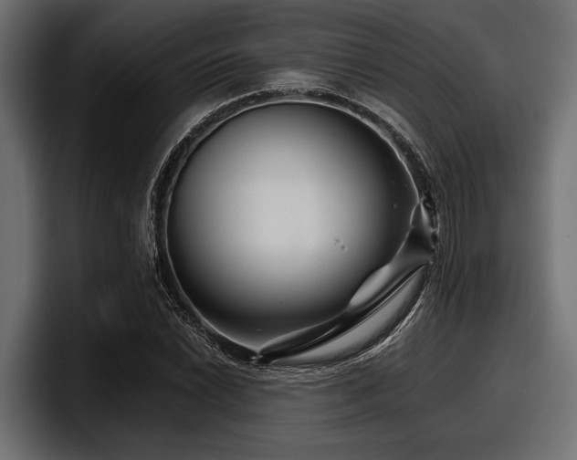 X0000097951022200803241149