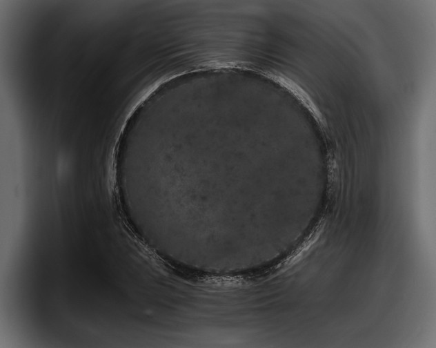 X0000097951023200803241149