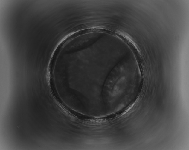 X0000097951024200803241149