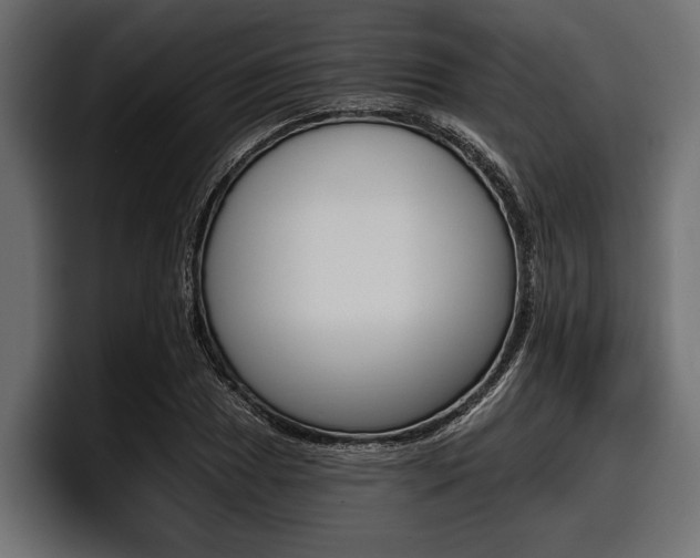 X0000097951025200803241149
