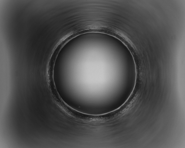 X0000097951026200803241149