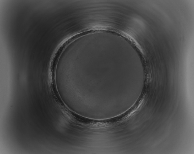 X0000097951027200803241149