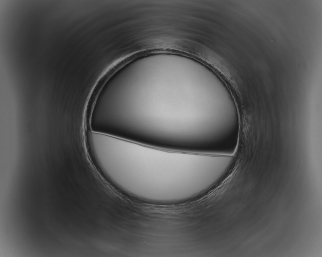 X0000097951028200803241149