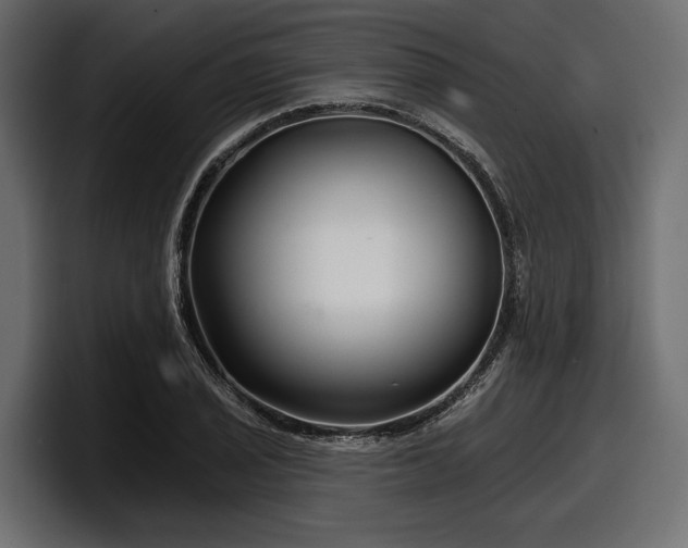 X0000097951029200803241149