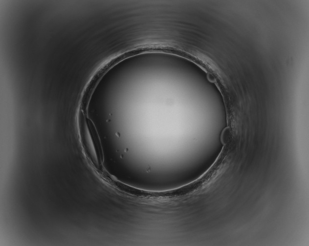 X0000097951030200803241149