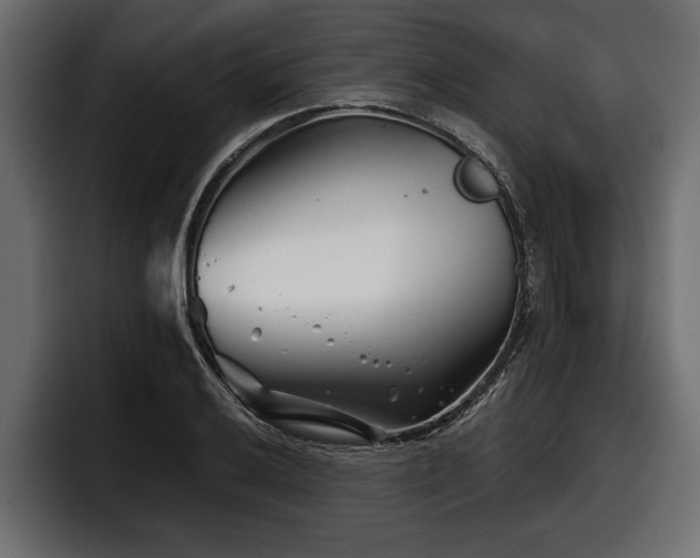X0000097951032200803241149