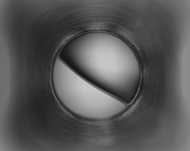X0000097951033200803241149