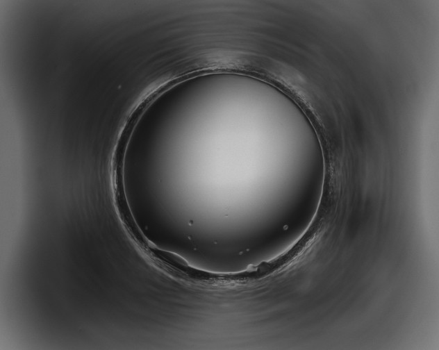 X0000097951034200803241149