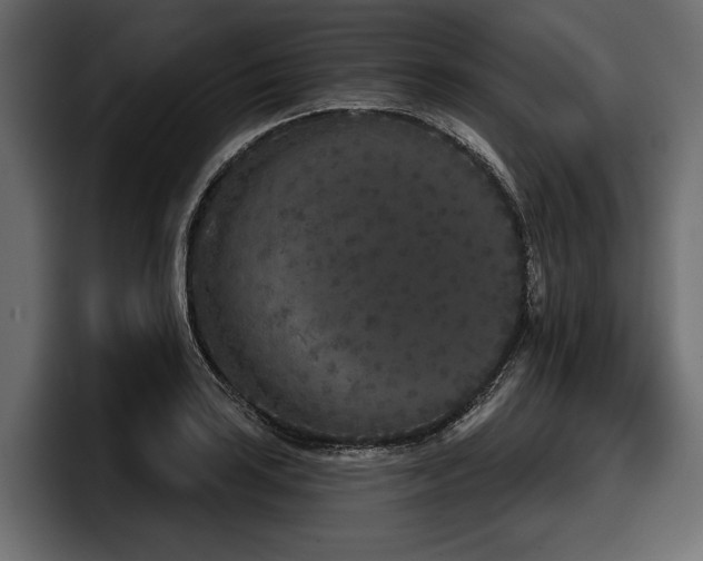 X0000097951035200803241149