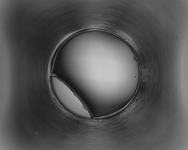 X0000097951036200803241149