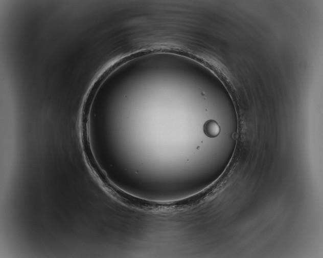 X0000097951038200803241149