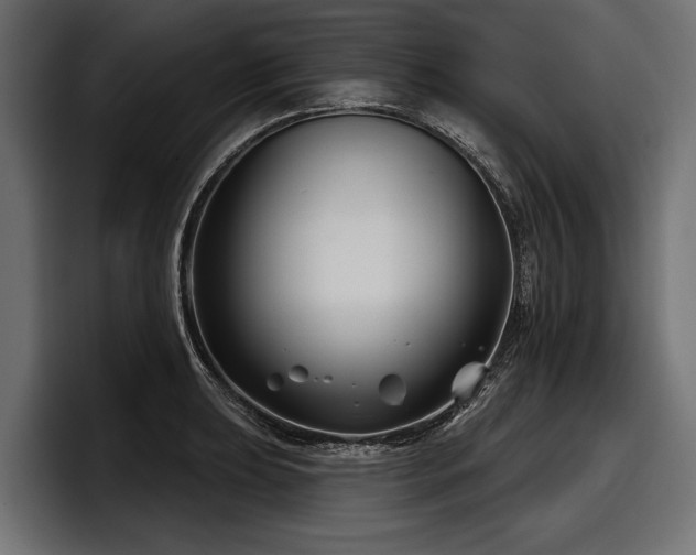 X0000097951039200803241149