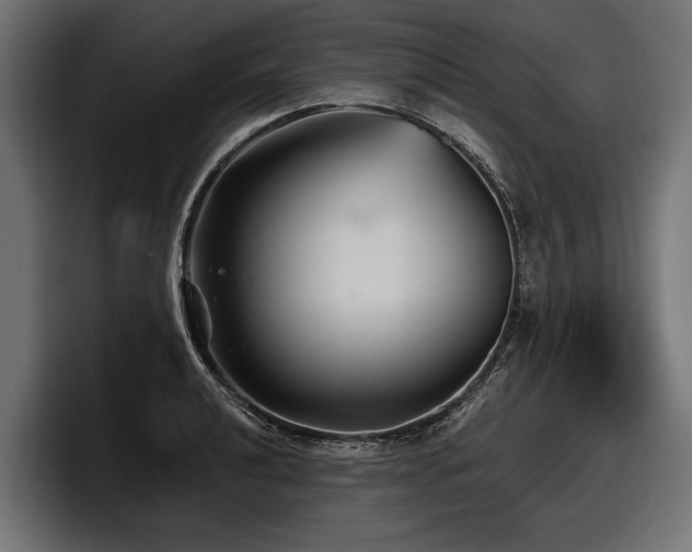 X0000097951040200803241149